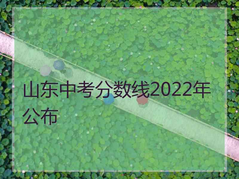 山东中考分数线2022年公布