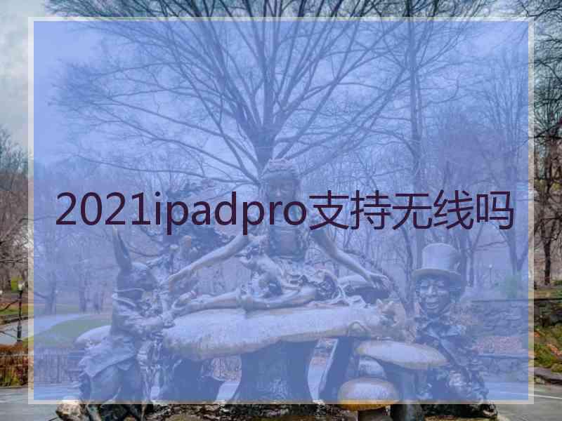 2021ipadpro支持无线吗