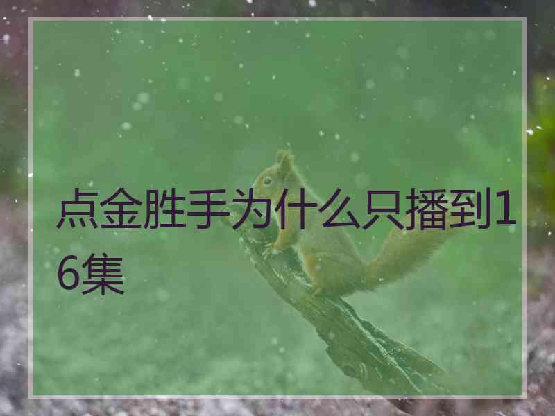 点金胜手为什么只播到16集