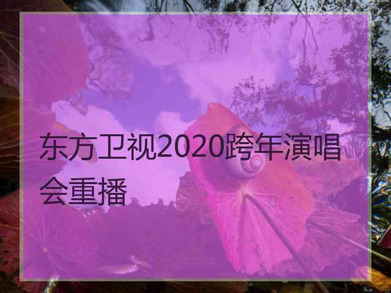 东方卫视2020跨年演唱会重播