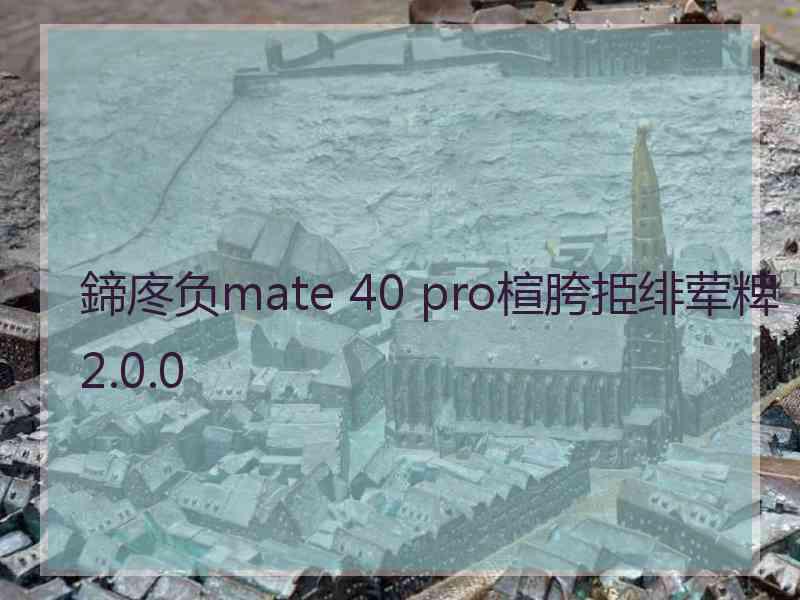 鍗庝负mate 40 pro楦胯挋绯荤粺2.0.0