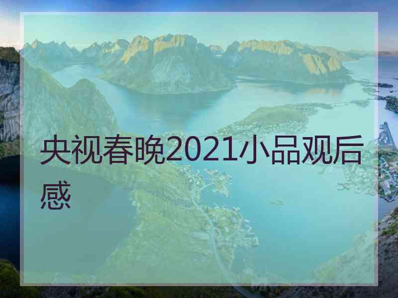 央视春晚2021小品观后感