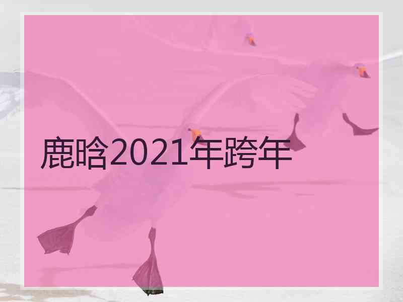 鹿晗2021年跨年