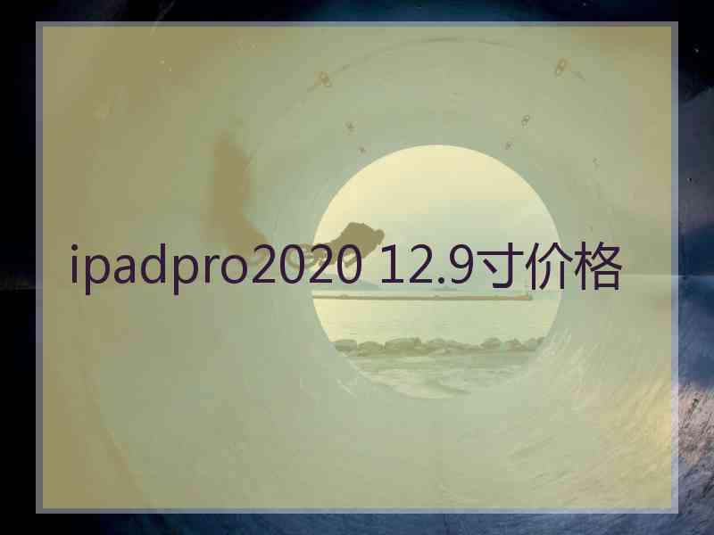 ipadpro2020 12.9寸价格