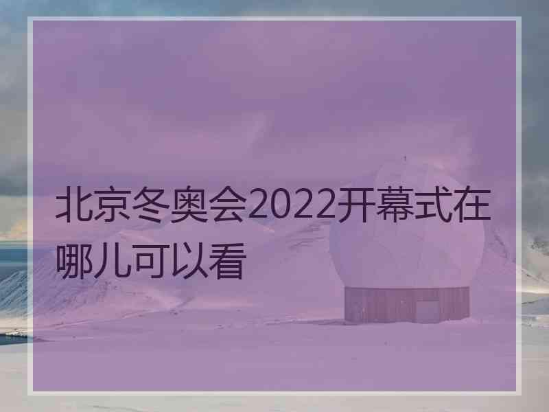 北京冬奥会2022开幕式在哪儿可以看