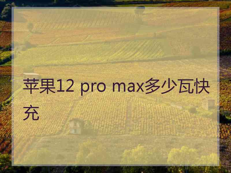 苹果12 pro max多少瓦快充