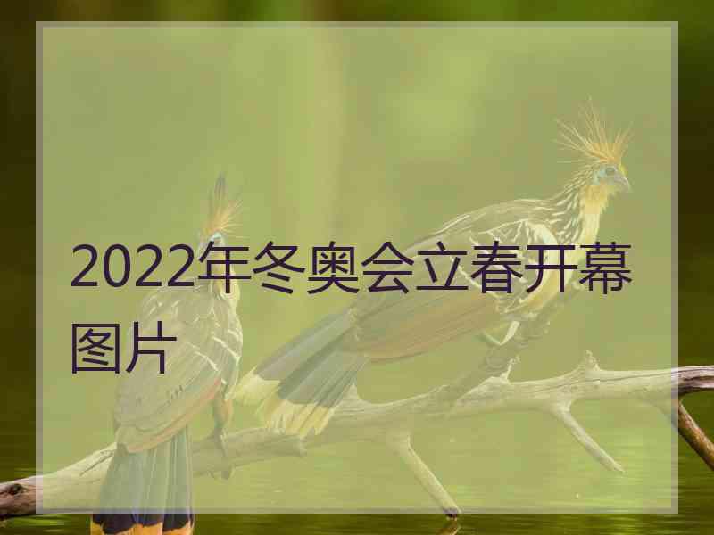 2022年冬奥会立春开幕图片