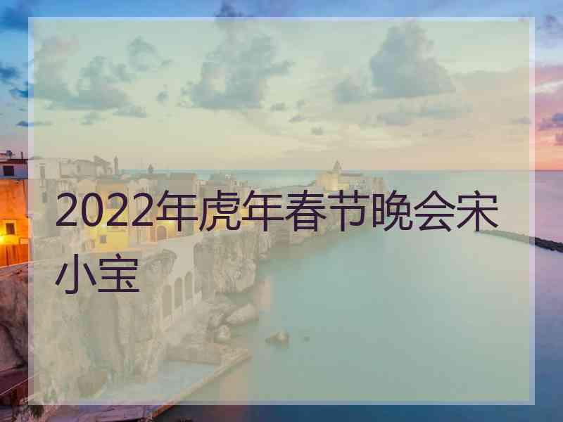 2022年虎年春节晚会宋小宝