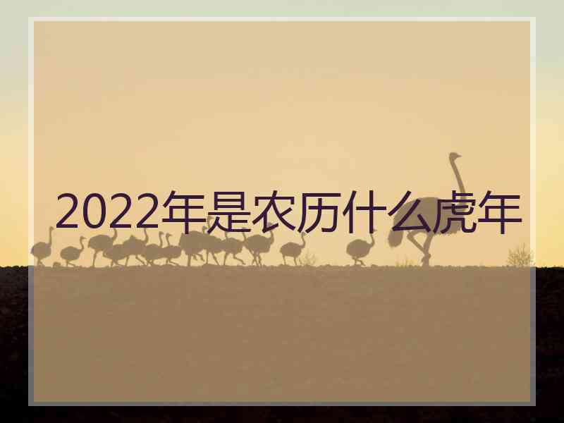 2022年是农历什么虎年