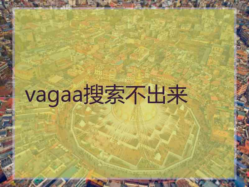 vagaa搜索不出来