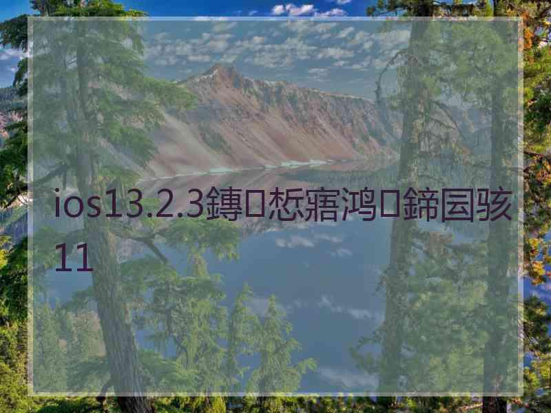 ios13.2.3鏄惁寤鸿鍗囩骇11