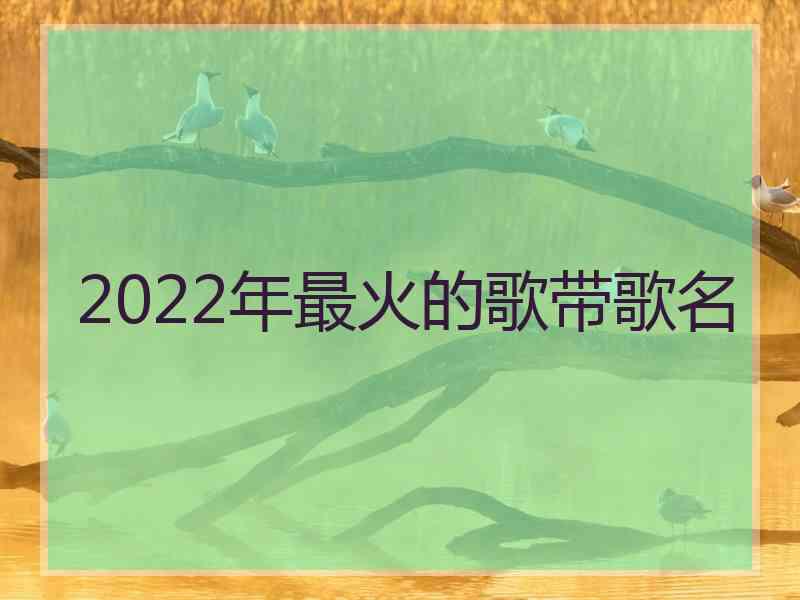 2022年最火的歌带歌名