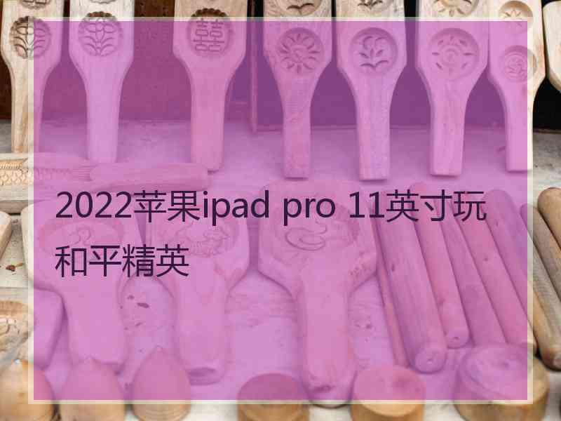 2022苹果ipad pro 11英寸玩和平精英