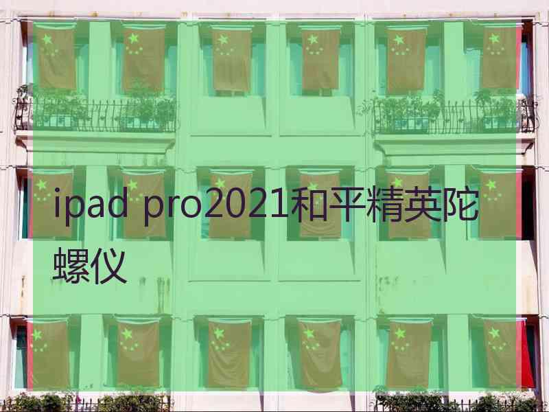 ipad pro2021和平精英陀螺仪