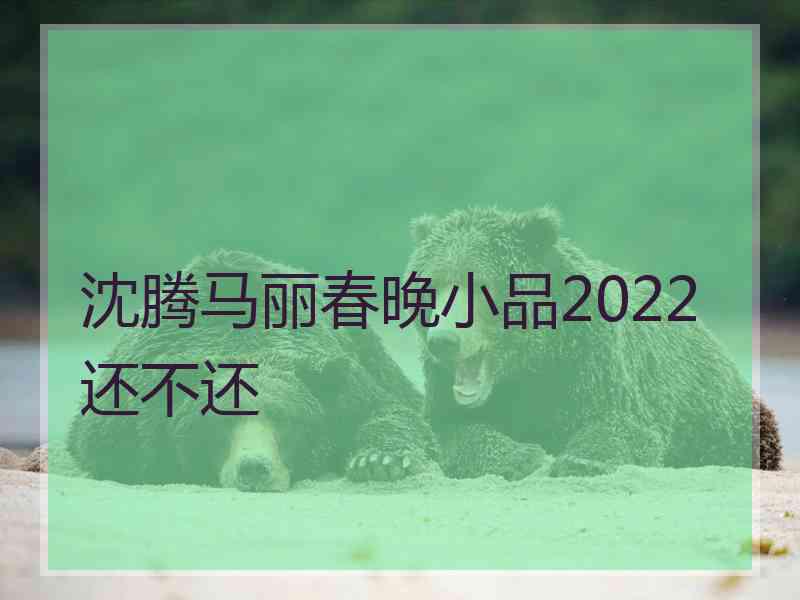 沈腾马丽春晚小品2022还不还