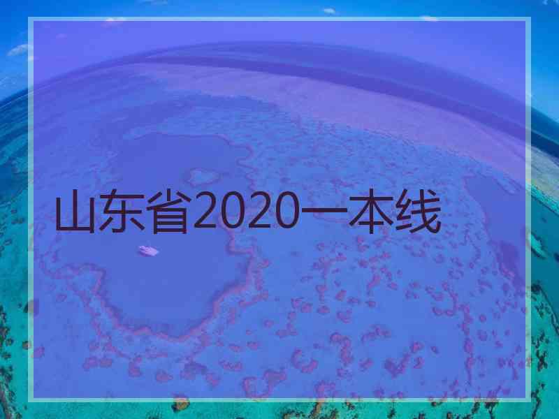 山东省2020一本线