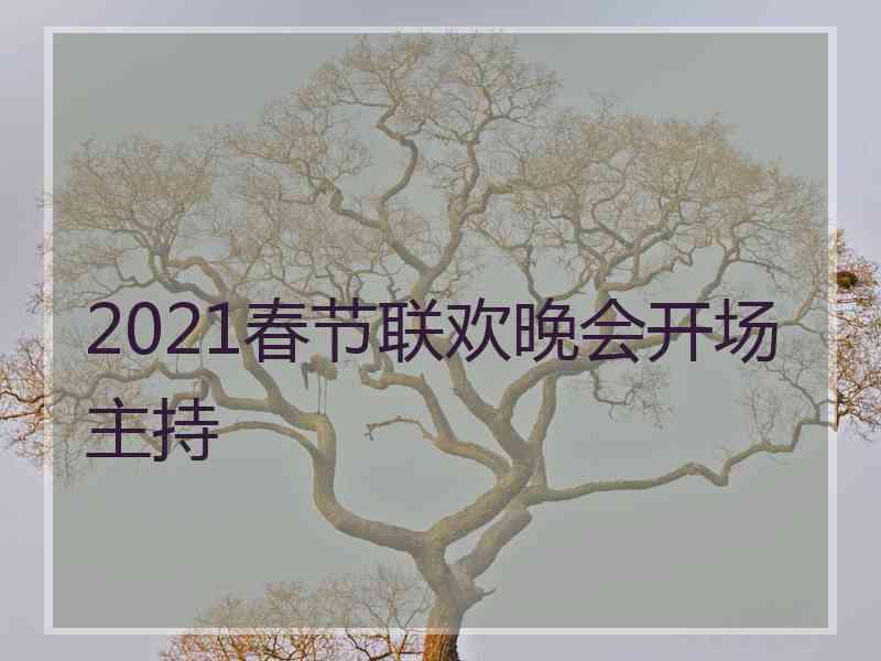 2021春节联欢晚会开场主持