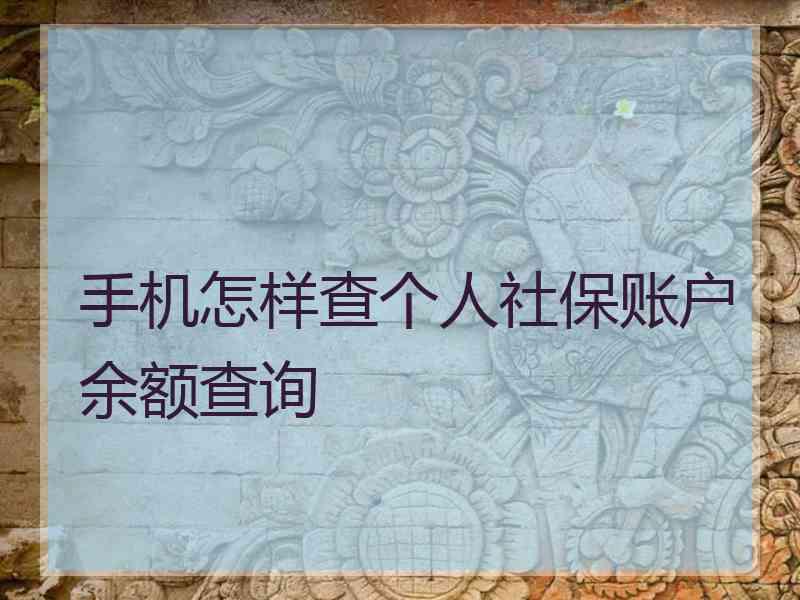 手机怎样查个人社保账户余额查询