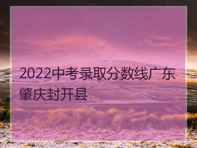 2022中考录取分数线广东肇庆封开县