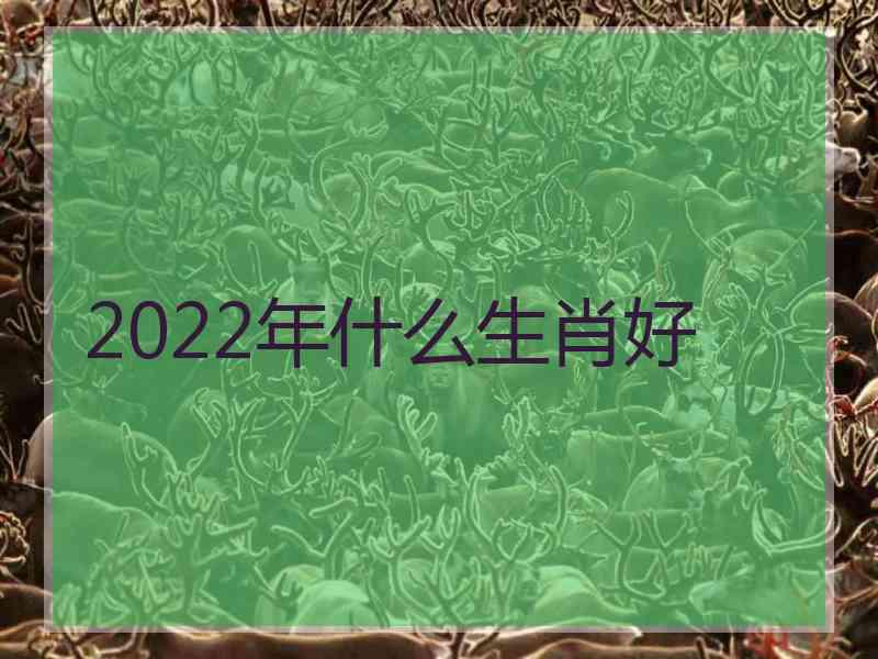 2022年什么生肖好