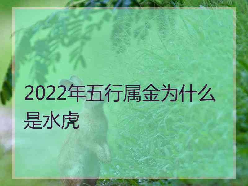 2022年五行属金为什么是水虎