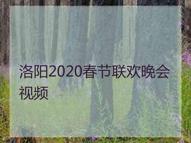 洛阳2020春节联欢晚会视频