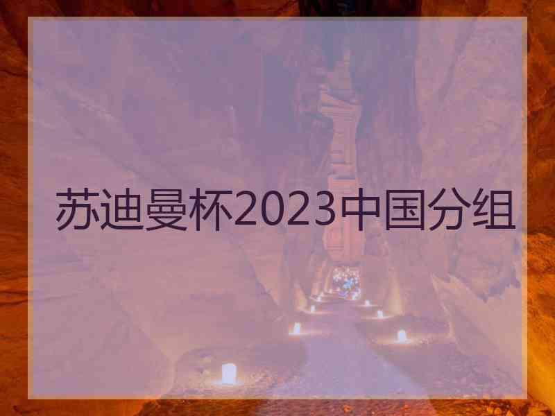 苏迪曼杯2023中国分组