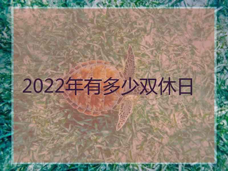 2022年有多少双休日