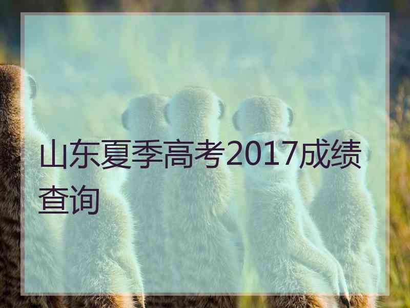 山东夏季高考2017成绩查询