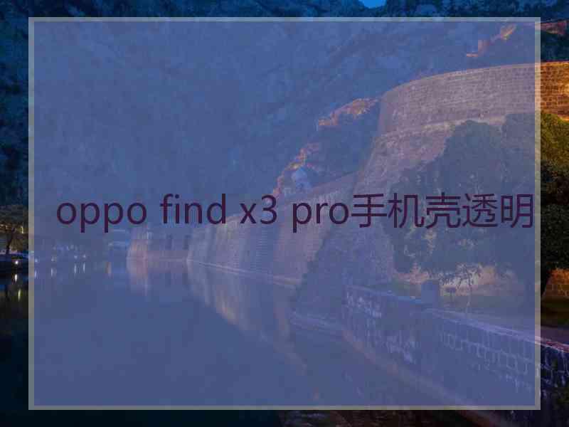 oppo find x3 pro手机壳透明