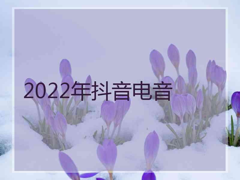 2022年抖音电音