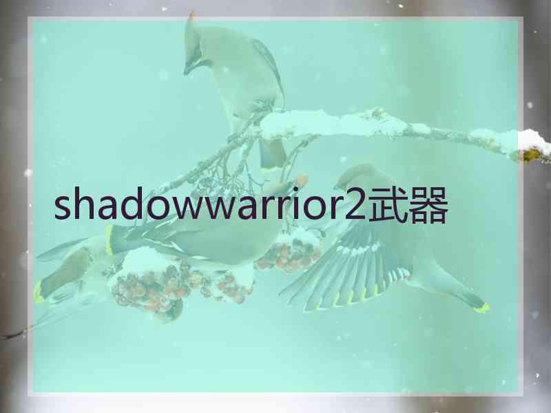 shadowwarrior2武器