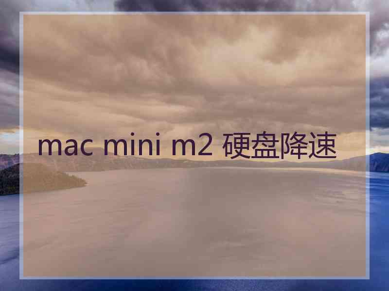 mac mini m2 硬盘降速