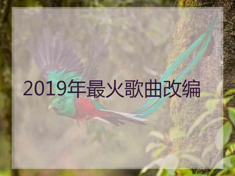 2019年最火歌曲改编