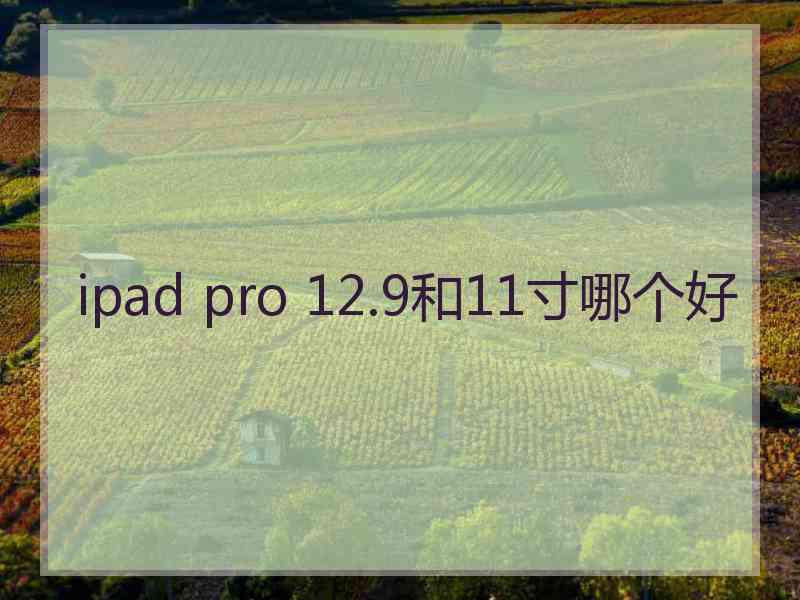 ipad pro 12.9和11寸哪个好