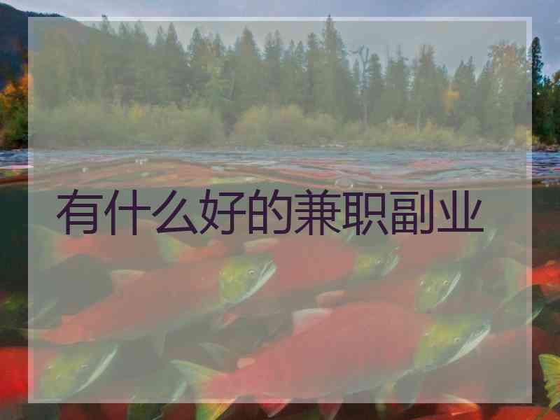 有什么好的兼职副业