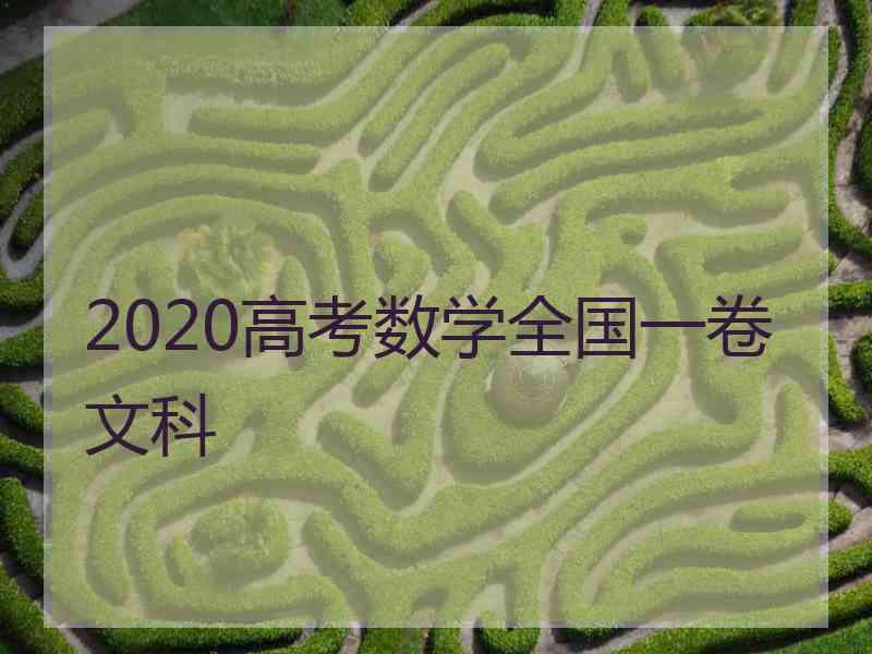 2020高考数学全国一卷文科