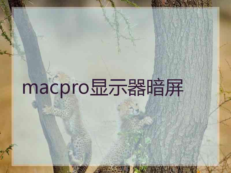 macpro显示器暗屏