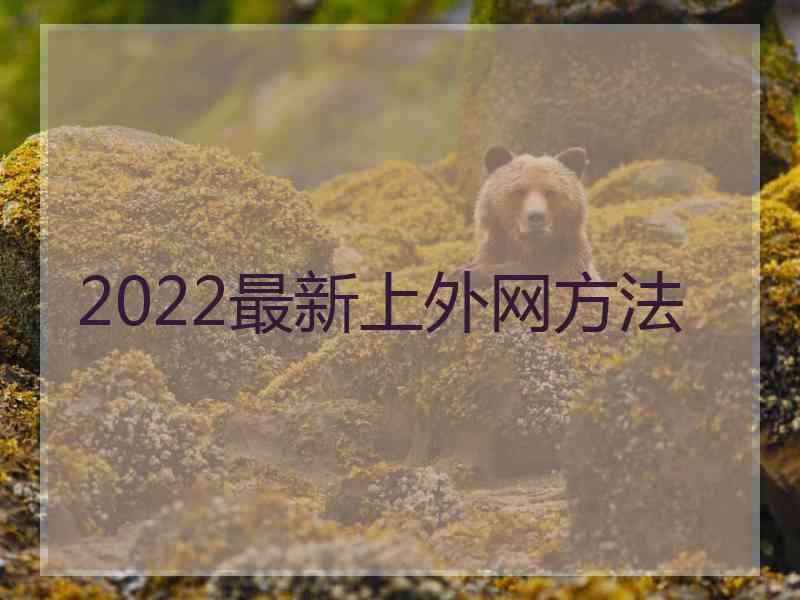 2022最新上外网方法