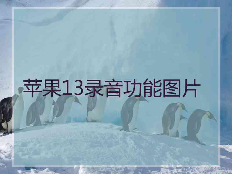 苹果13录音功能图片