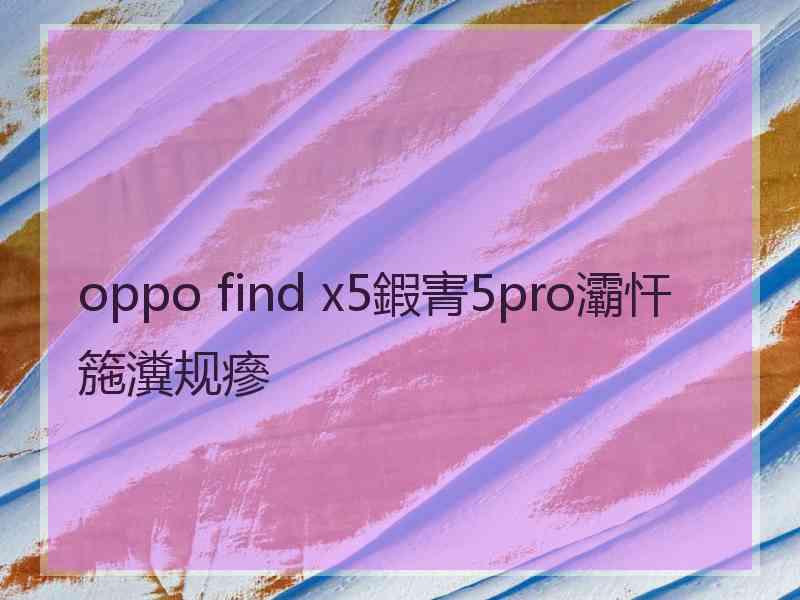 oppo find x5鍜寈5pro灞忓箷瀵规瘮