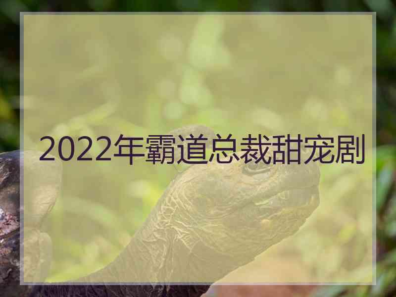 2022年霸道总裁甜宠剧