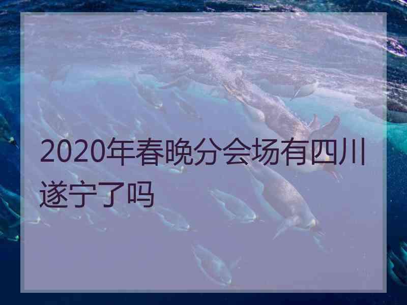 2020年春晚分会场有四川遂宁了吗