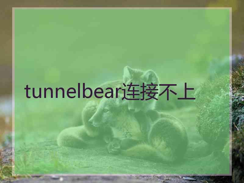 tunnelbear连接不上