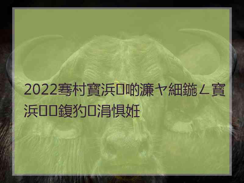 2022骞村寳浜啲濂ヤ細鍦ㄥ寳浜鍑犳涓惧姙