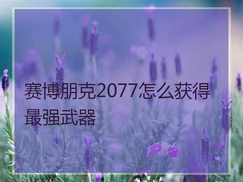 赛博朋克2077怎么获得最强武器