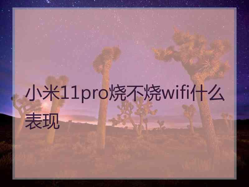 小米11pro烧不烧wifi什么表现