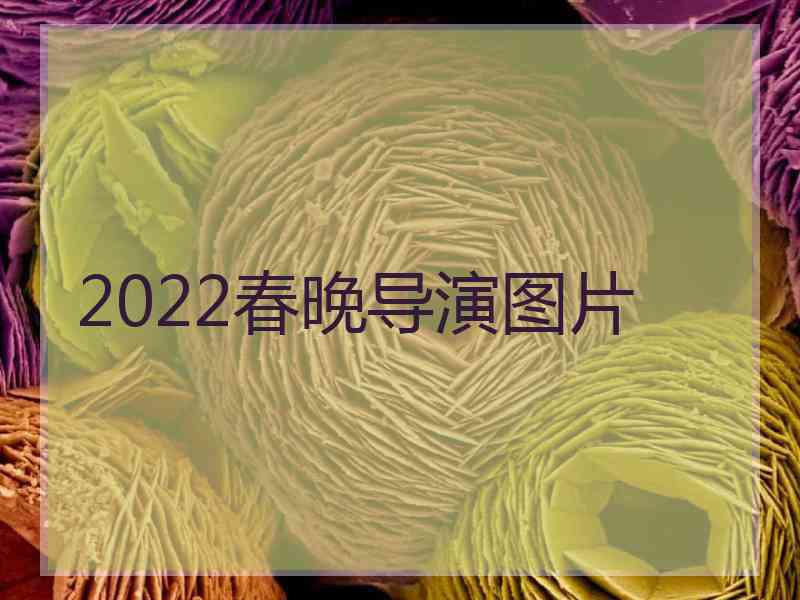 2022春晚导演图片