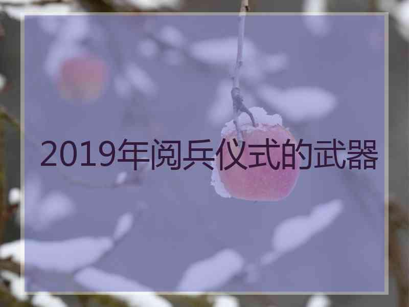 2019年阅兵仪式的武器