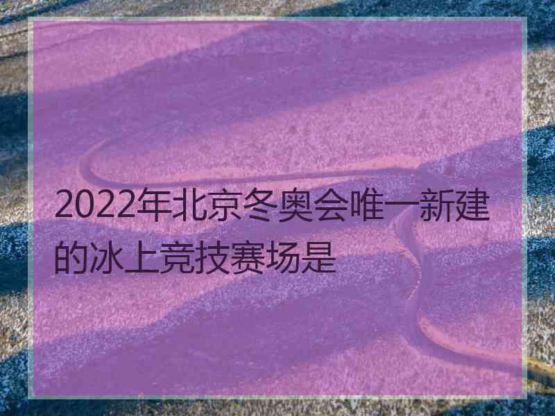 2022年北京冬奥会唯一新建的冰上竞技赛场是